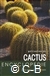 Subik,R., Kunte,L.-Geillustreerde Cactus Encyclopedie (Rebo)