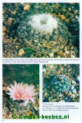 Turbinicarpus mombergeri natuurplanten, nu in kultuur: typische vorm, bloeiend, zaailing (blz 16).