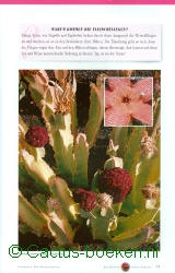 G. B. Perdomo Perdomo - Lanzarote Cactus Garden (blz 79).