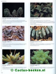 Haworthia soorten : o.a. Haworthia truncata ( blz 142).