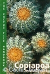 Charles, G. - Copiapoa (1998) 