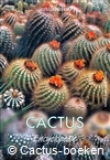 Subik, Kunte - The illustrated Encyclopedia of Cacti + other