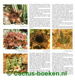 Günter Andersohn - Cacti and Succulents (blz 258).